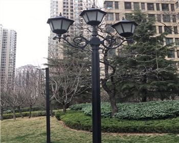 湖北太陽(yáng)能路燈案例-西安白樺林間