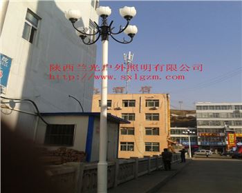 湖北中華燈-陜北道路照明項目