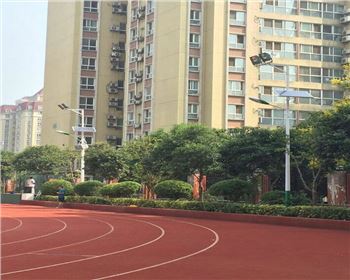 湖北學(xué)校路燈改造-湖北省西安高新一中路燈項目