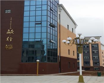 湖北學(xué)校庭院景觀燈-湖北省寶雞高新一中路燈工程