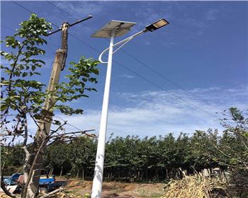 湖北西安藍(lán)田縣竹峪鎮(zhèn)新農(nóng)村太陽(yáng)能路燈