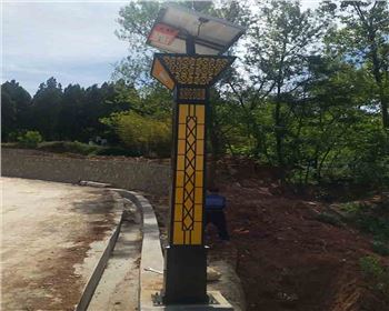 陜西商洛洛南景村鎮太陽能景觀燈項目